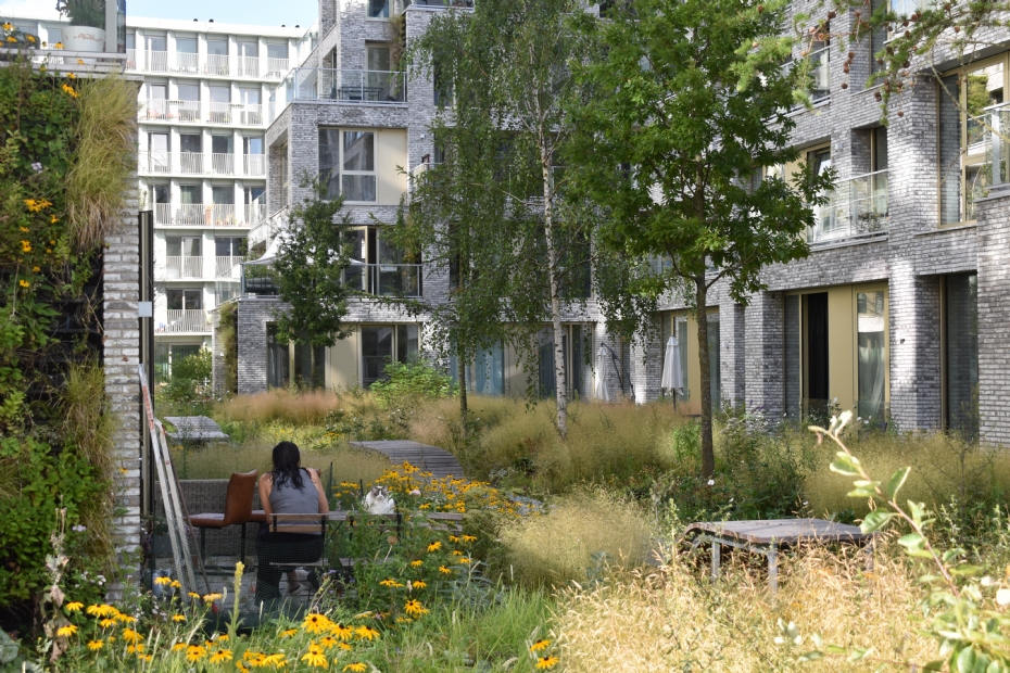 Beeld via New Urban Standard - Amsterdam Overhoeks