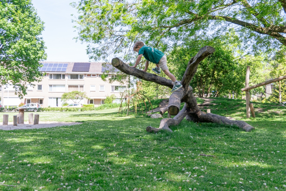 Een schaduwrijke omgeving met natuurlijke ondergronden en speelaanleidingen - goed tegen hittestress en goed voor de ontwikkeling van het kind