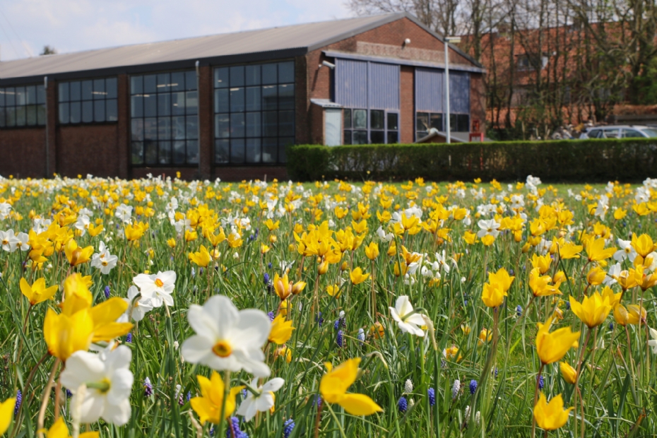 Het Jubileum Mengsel