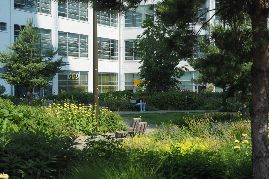 Beeld ter illustratie, het Clausplein in Eindhoven