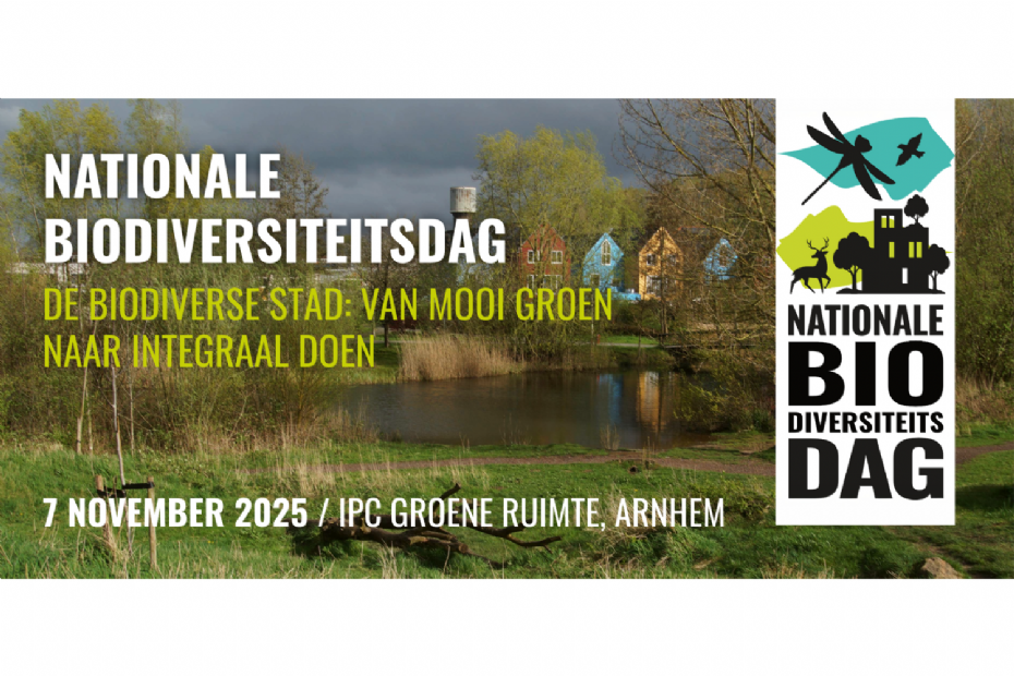 <geen titel>