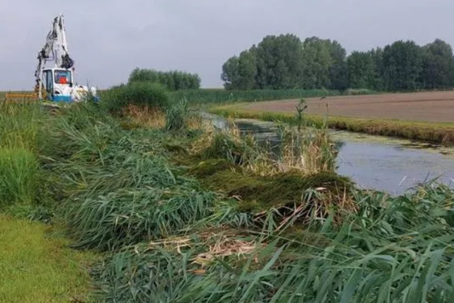 Beeld via: Brabantse Delta