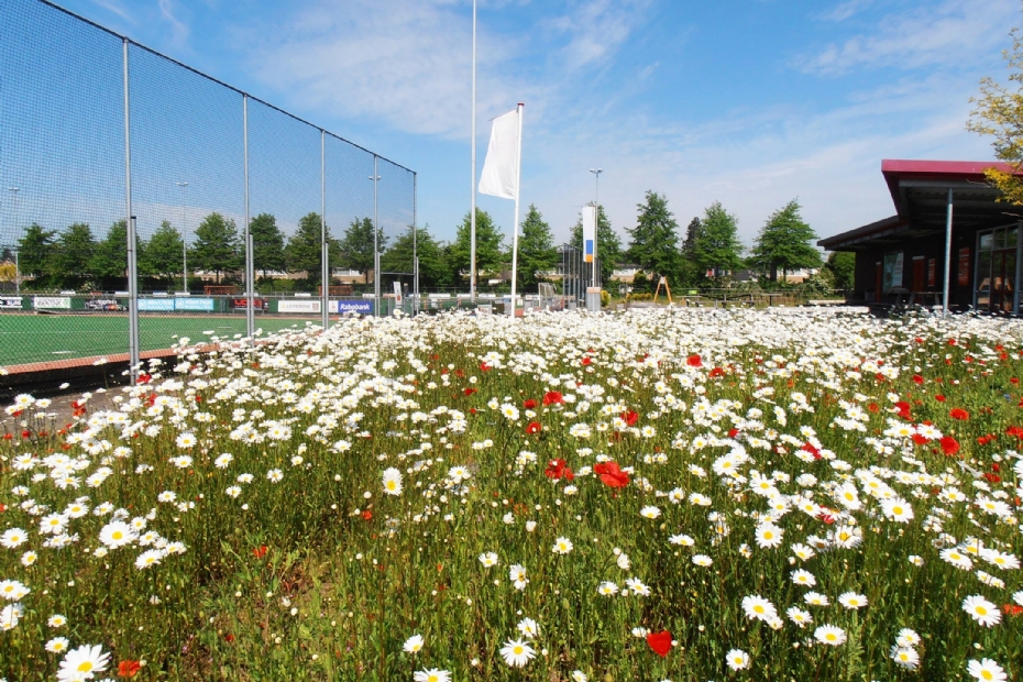 Beeld ter illustratie: een voorbeeld van sport en biodiversiteit