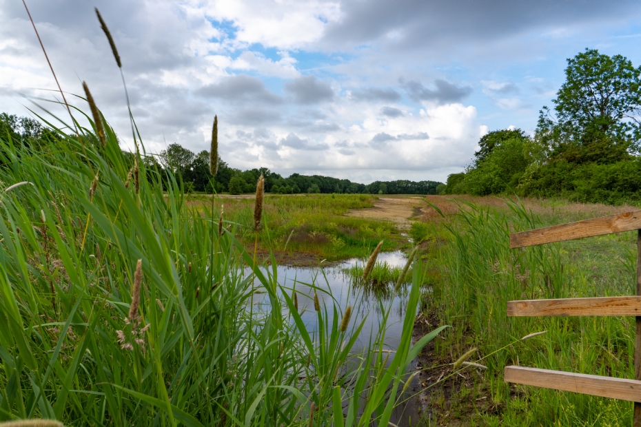 Fase 1 - natuurvriendelijke oevers