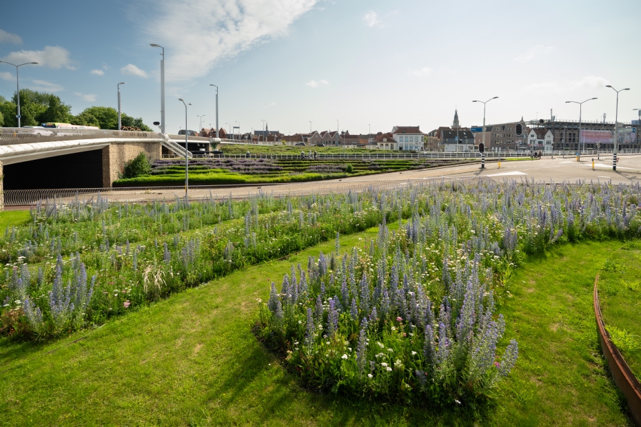 Bloomingfields-vasteplantenmatten in Alkmaar in juni 2025