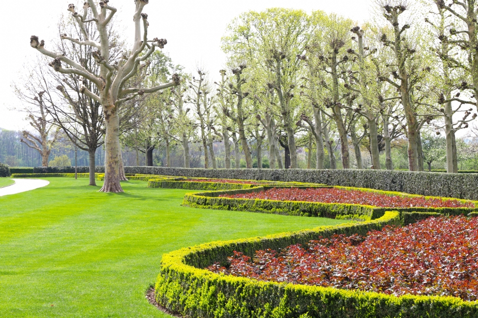 Beeld ter illustratie (archief Stad + Groen)