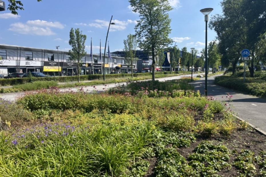 Foto genomen op 17 juli 2025. 