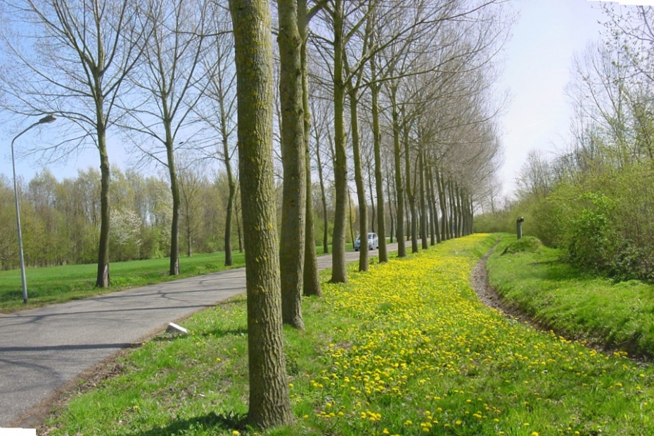 Beeld ter illustratie