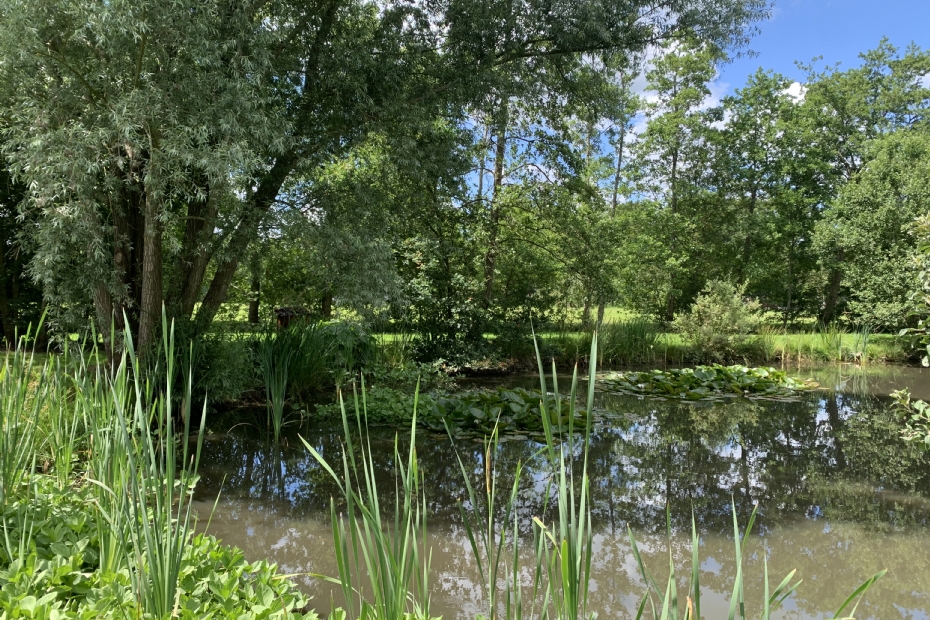 Beeld ter illustratie (archieffoto NWST: vijver bedrijfstuin bij DeWit)