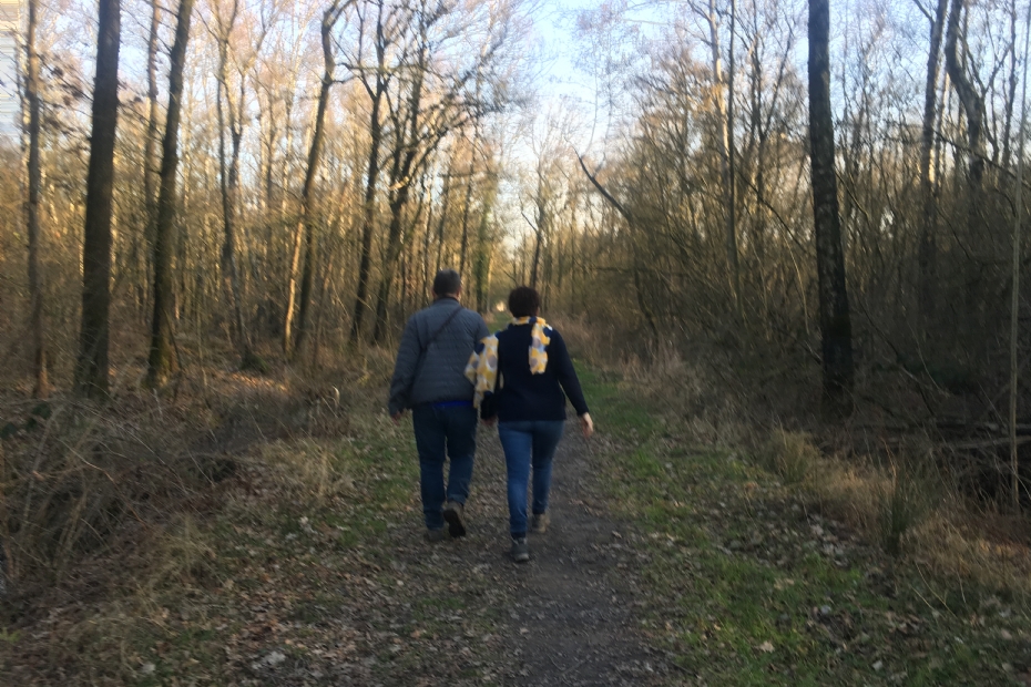 Beeld ter illustratie