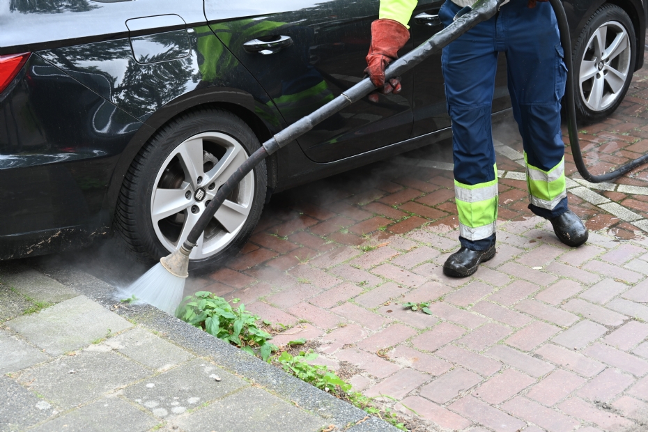 Her is misschien niet terecht maar veel onkruid zorgt voor een onverzorgde openbare ruimte en extra gevoel van onveiligheid (foto Hein van Iersel) 