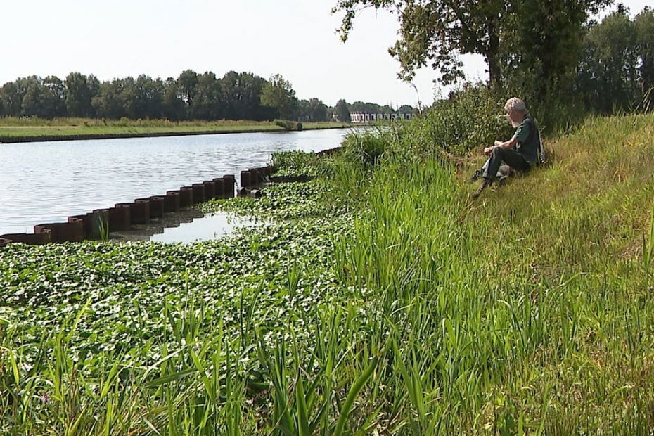 Beeld ter illustratie, gegenereerd met AI