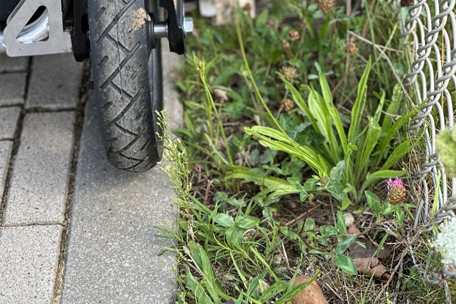 De side shift van de eWeeding Roller maakt behandeling mogelijk tot in de rand (Beeld: Wimmersson)