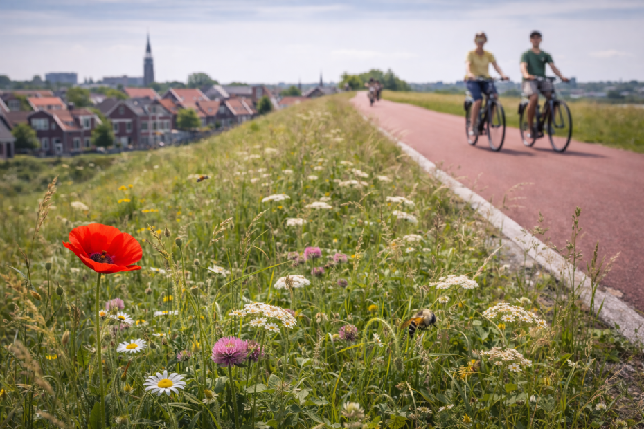 Beeld ter illustratie, gegenereerd met AI