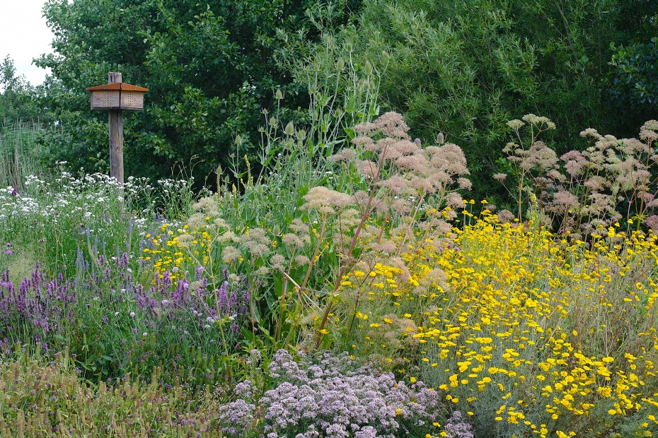 Living Landscape-proeftuin Living Landscape-proeftuin