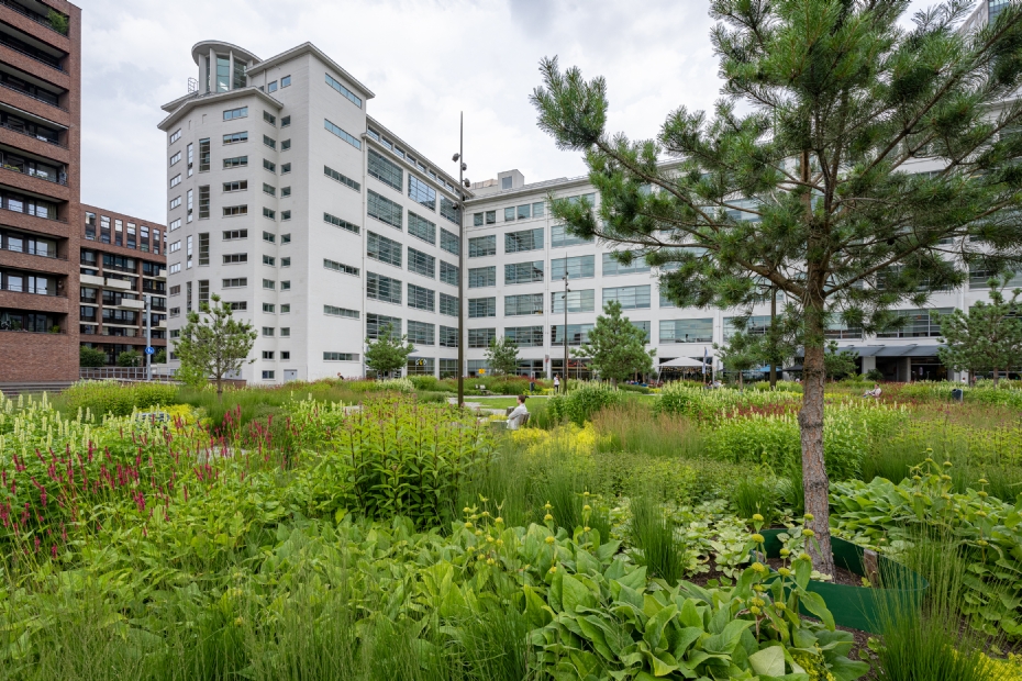 Het Clausplein in Eindhoven is vergroend (Foto: Laurens Mulkens)