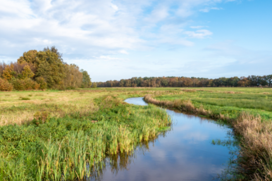 Het Reestdal in gemeente Hardenberg, met de Reest die door het landschap slingert. 