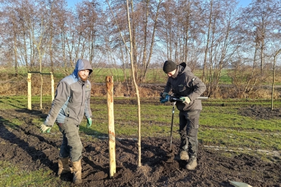Uitvoering planten bomen