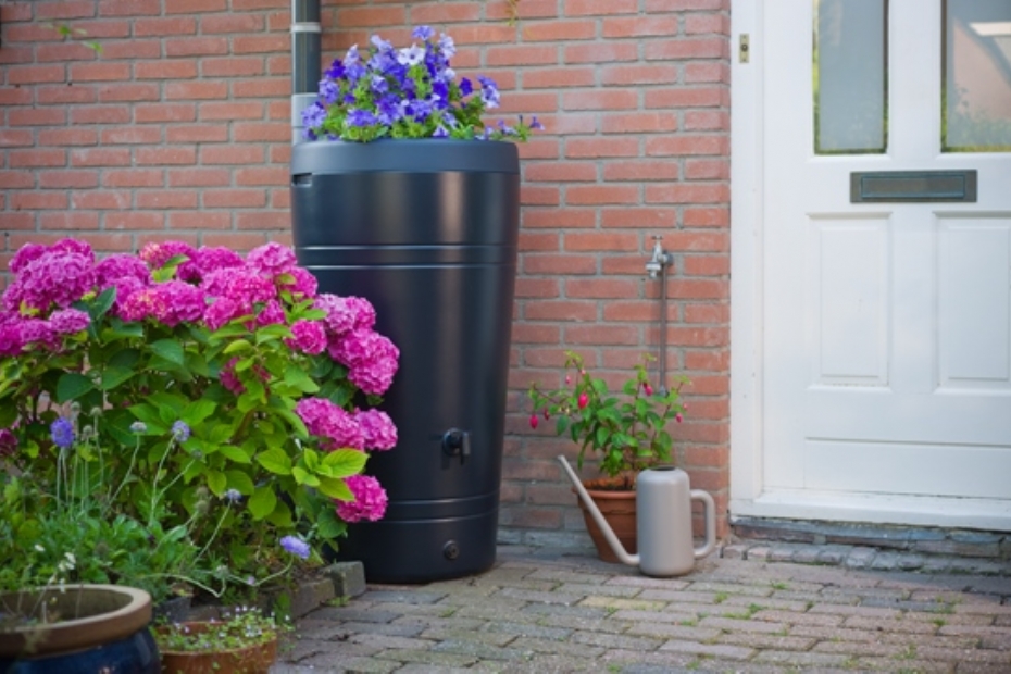 Deze regenton van het merk Nature heeft een bloemenbak.