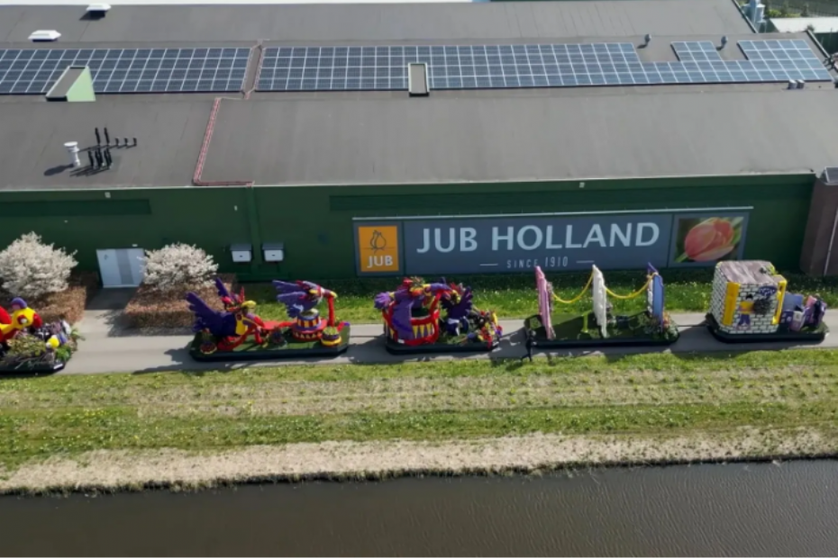 Corso - Beeld via: JUB Holland