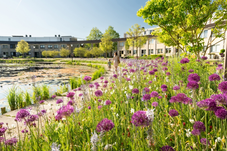 Beeld via stadswerk072 (Foto gemaakt door Erik Boschman)