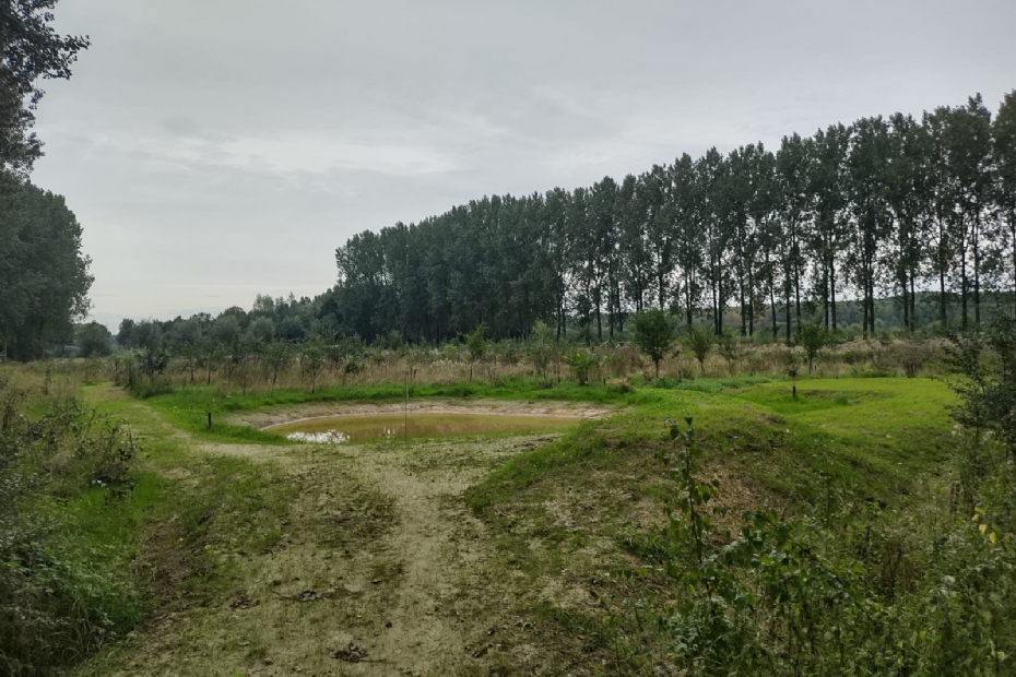 Voedselbos Schijndel, Brabant - Beeld NWST