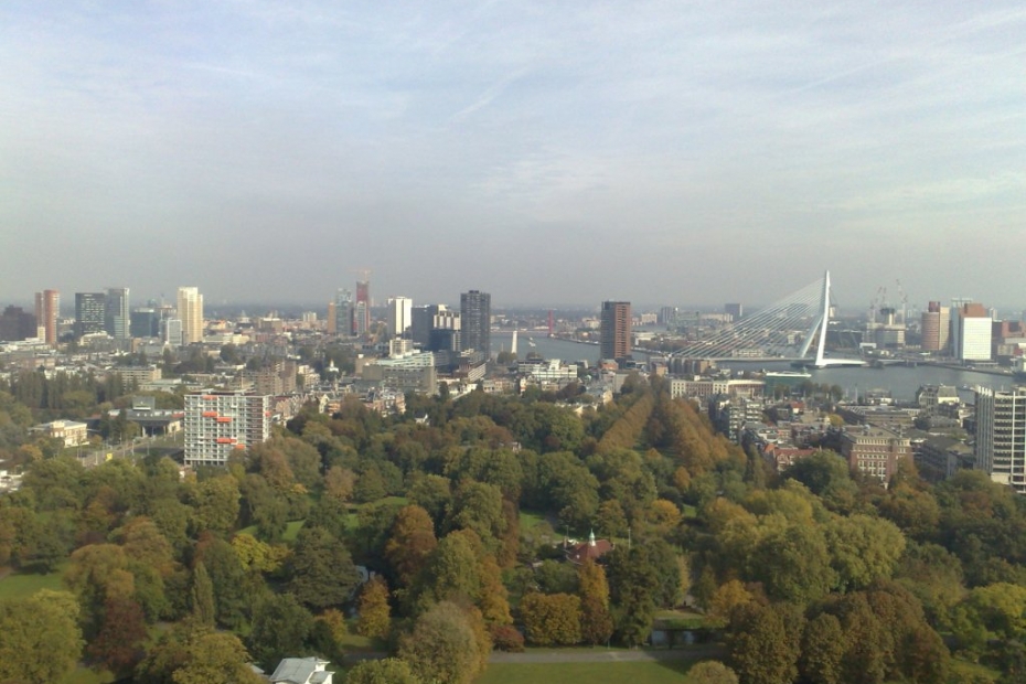 Stadsnatuur in Rotterdam, beeld ter illustratie