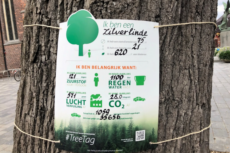 Archieffoto van #EUTreeTag in 2024