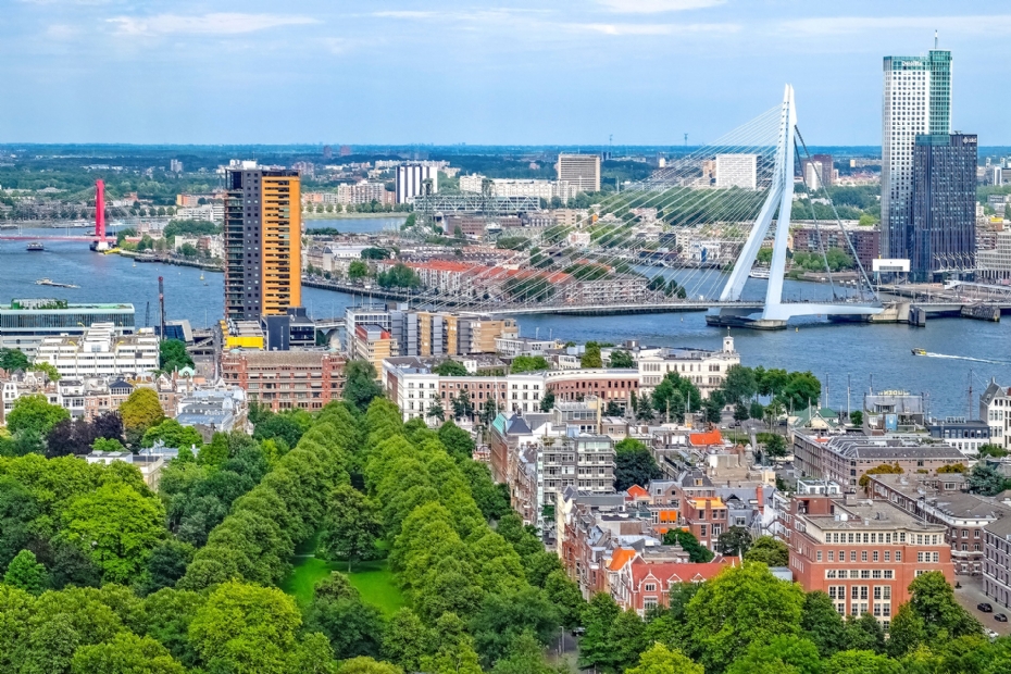 Groen en de Erasmusbrug in Rotterdam (Beeld: pixabay)