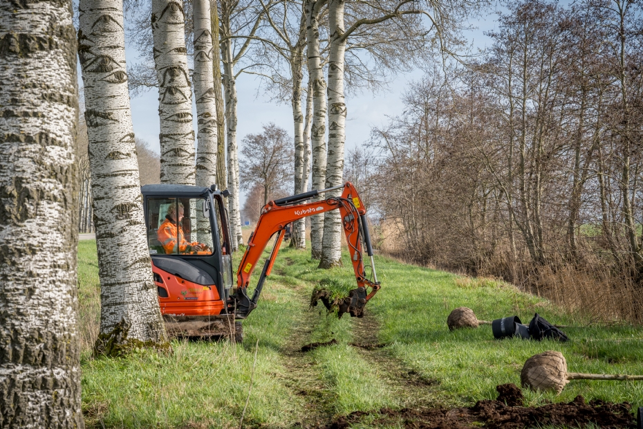 Langs een provinciale weg in de Alblasserwaard werden door Verheij Integrale groenzorg circa vierhonderd bomen geplant, heesters aangebracht �n natuurvriendelijke oevers ingezaaid