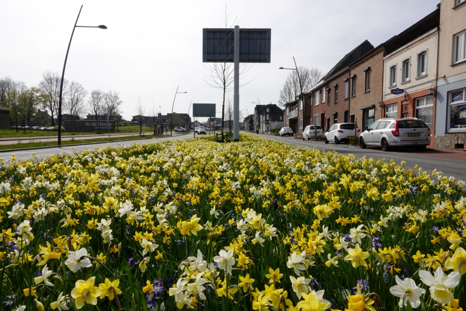 De kleurrijke entree in Landgraaf in vol ornaat
