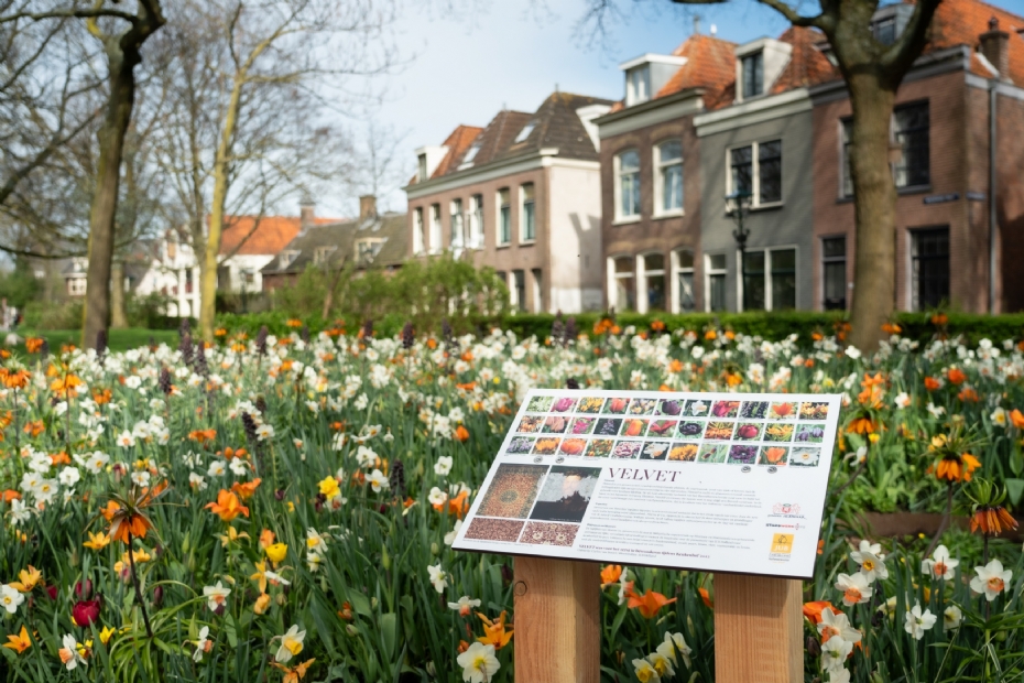 Informatieborden leggen ontwerp en bolsoorten uit aan bezoekers. 'Een prachtig voorbeeld van storytelling in openbaar groen'