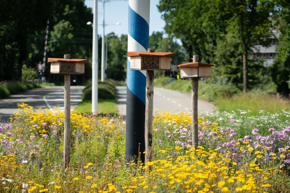 Living Landscape op rotonde Zeswielen in Alkmaar