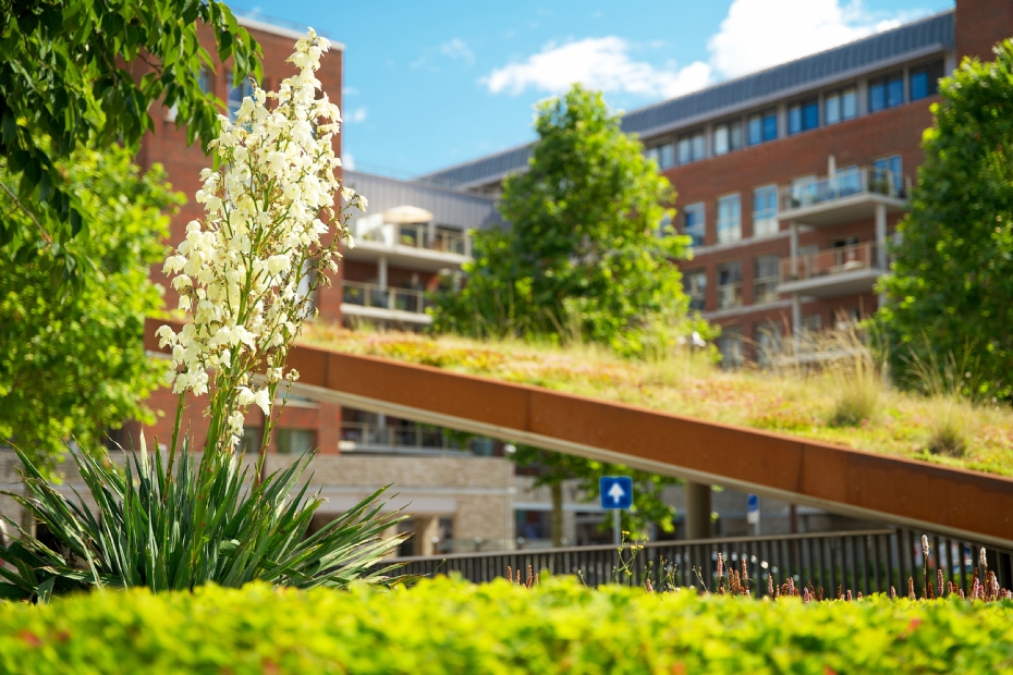 Beeld via: Stichting Dutch Green Building Council (DGBC) Beeld via: Stichting Dutch Green Building Council (DGBC)