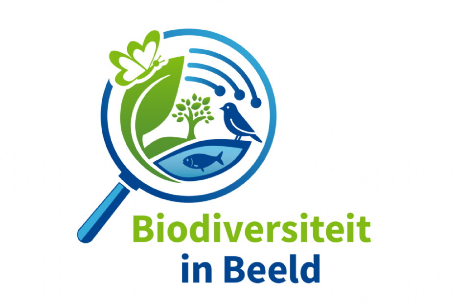 <geen titel>