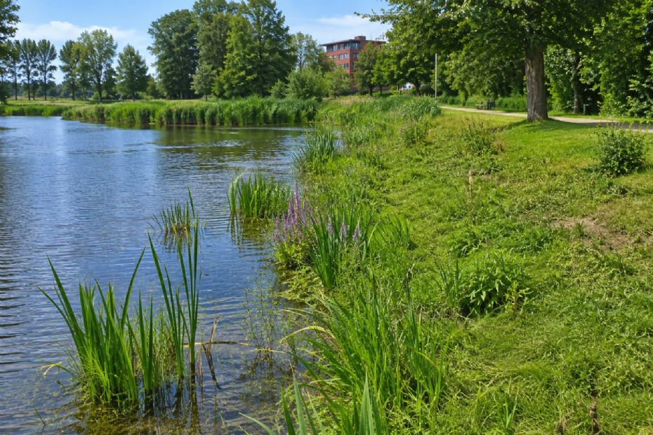Een natuurvriendelijke oever, beeld ter illustratie (gegenereerd met AI)