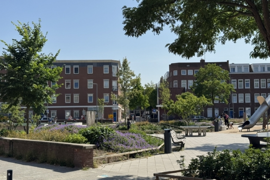 Driehoeksplein na oplevering