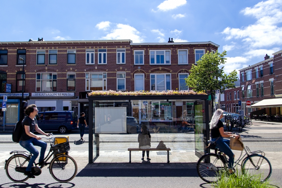 Een sudum dak op een bushokje in Utrecht