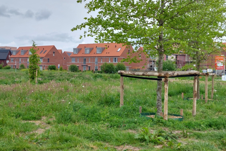 Park Westerlaak is ontworpen als stadspark tussen de woonwijken Vathorst en de toekomstige wijk Bovenduist
