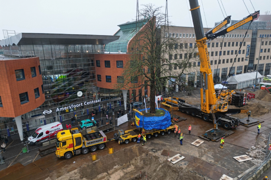 Een indrukwekkende operatie bij het Amersfoortse station. Fotocredits: Hoefakker Boomspecialisten - Aneo Koning