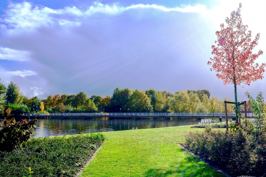 'Een gezonde leefomgeving begint met ruimte voor natuur, water en biodiversiteit'