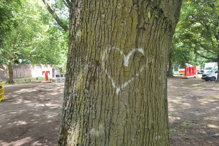 Een hartje op een boom in het Hunnerpark te Nijmegen (Beeld NWST ter illustratie)