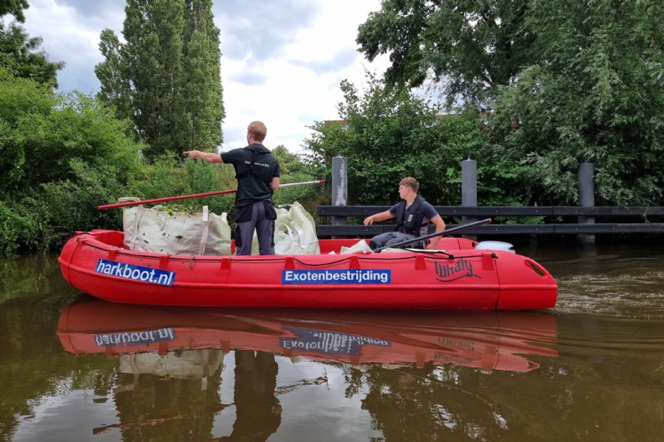 Harkboot verwijdert invasieve waterplanten uit Friese vaarwegen