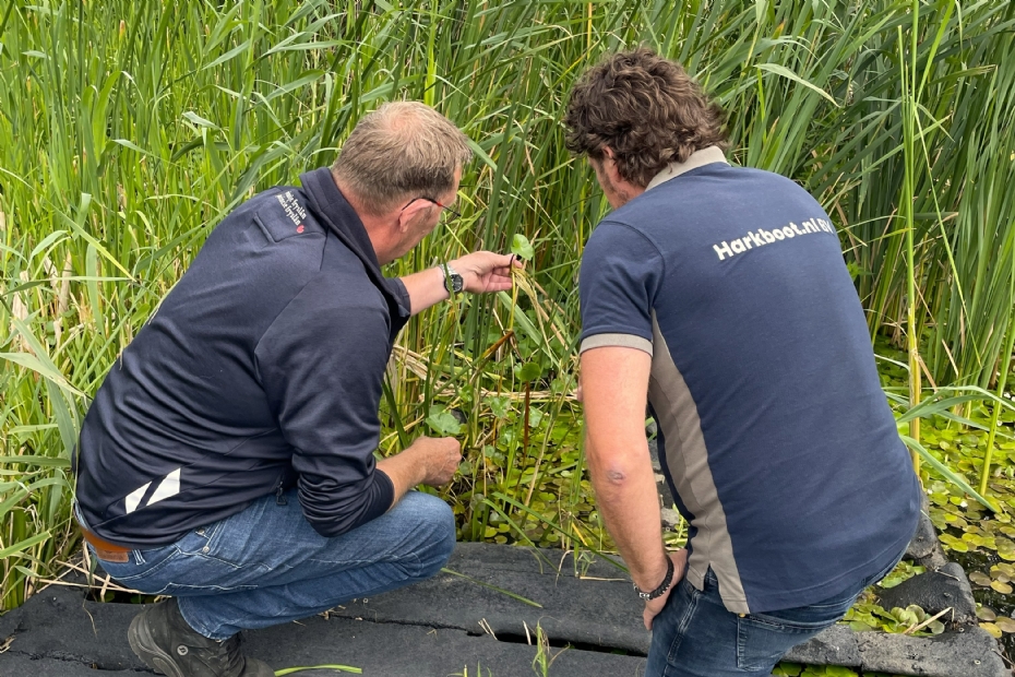 Op locatie beoordelen De Vries en Van der Wal de aanpak van de exoot Op locatie beoordelen De Vries en Van der Wal de aanpak van de exoot