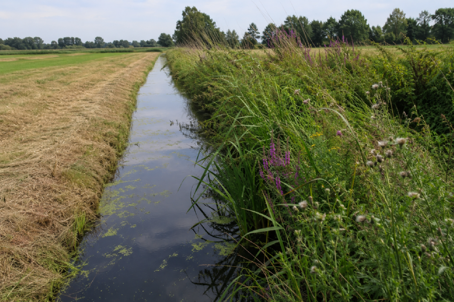 Beeld ter illustratie, gegenereerd met AI